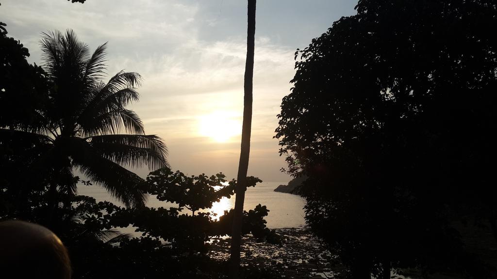 Nan Inn Bungalow Karon Oda fotoğraf